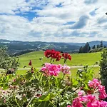 Muehlenmichelshaeusle By Interhome Hinterzarten