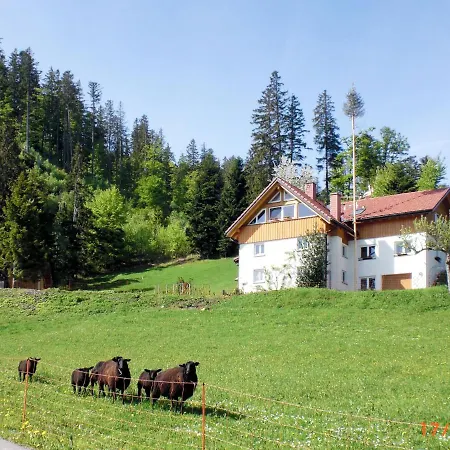 Muehlenmichelshaeusle By Interhome Hinterzarten