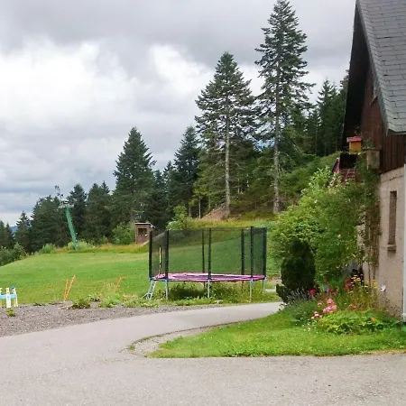 Apartment Muehlenmichelshaeusle By Interhome Hinterzarten
