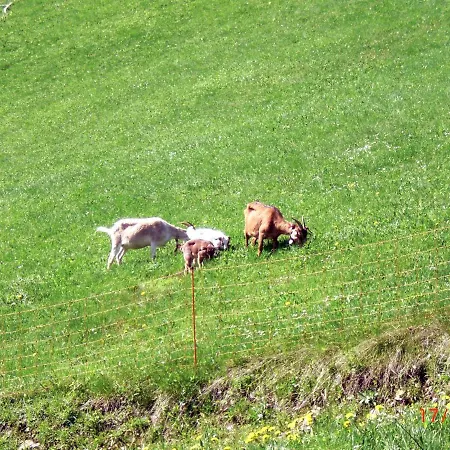 Muehlenmichelshaeusle By Interhome Apartman