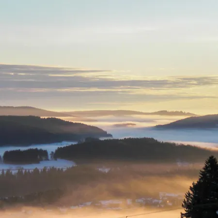 Apartman Muehlenmichelshaeusle By Interhome Hinterzarten