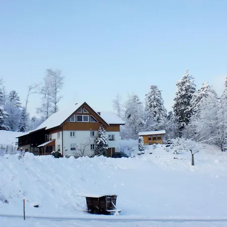 Muehlenmichelshaeusle By Interhome Apartment Hinterzarten