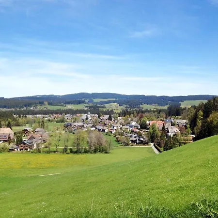 Apartman Muehlenmichelshaeusle By Interhome Hinterzarten