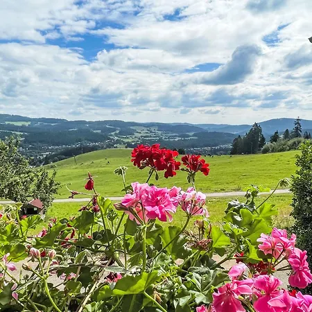 Muehlenmichelshaeusle By Interhome Hinterzarten