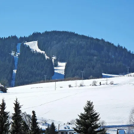 Apartment Muehlenmichelshaeusle By Interhome Hinterzarten