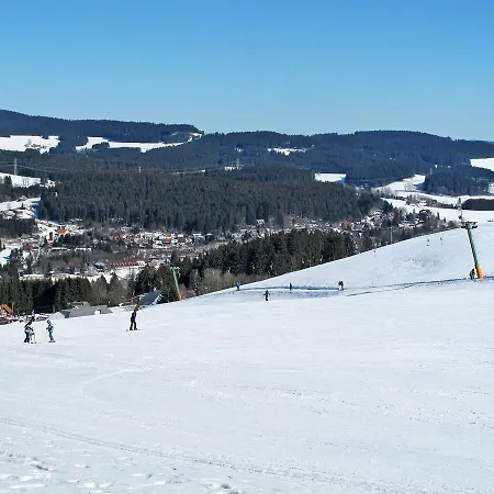 Muehlenmichelshaeusle By Interhome Apartment Hinterzarten